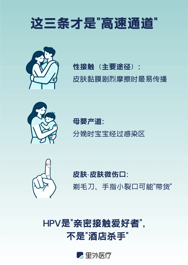 HPV体外存活条件